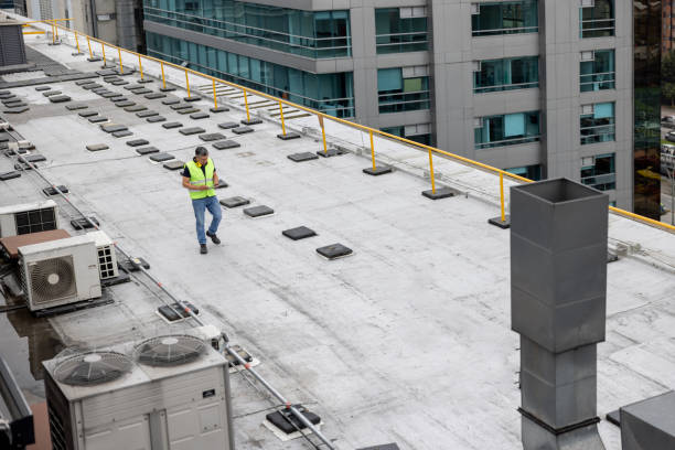 Best Roof Moss and Algae Removal  in Skagway, AK