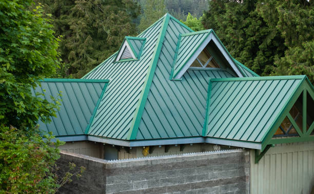 Best Skylight Installation and Repair  in Skagway, AK