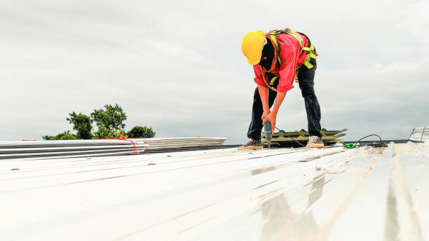 Best Roof Leak Repair  in Skagway, AK