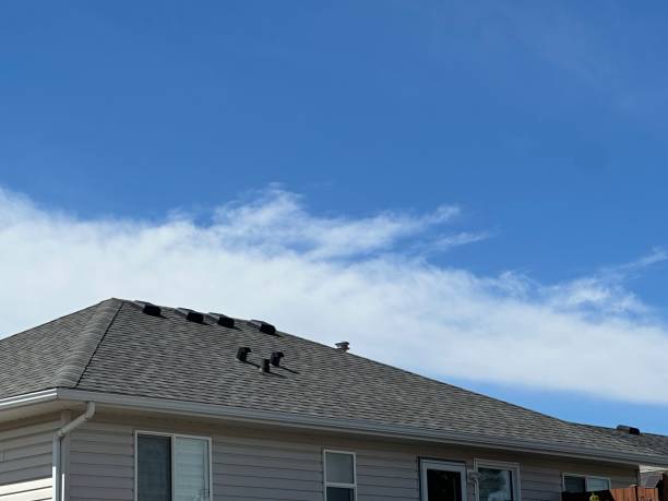 Best Tile Roofing Installation  in Skagway, AK